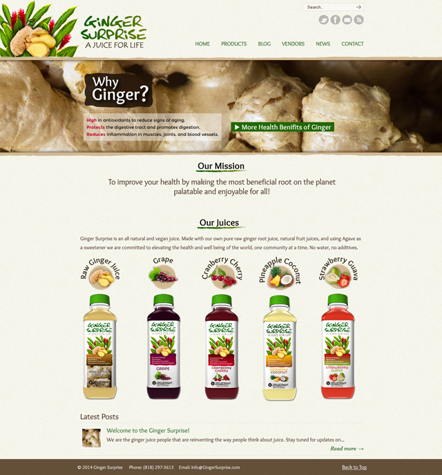 Ginger Surprise website